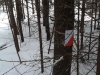 Nuorten rasti metsässä